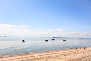 Photo 11- click for photo gallery